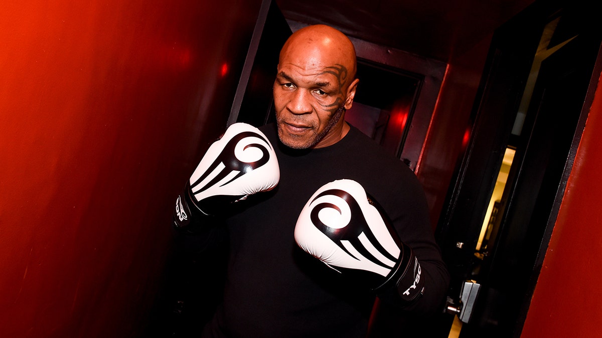 Mike Tyson in 2023