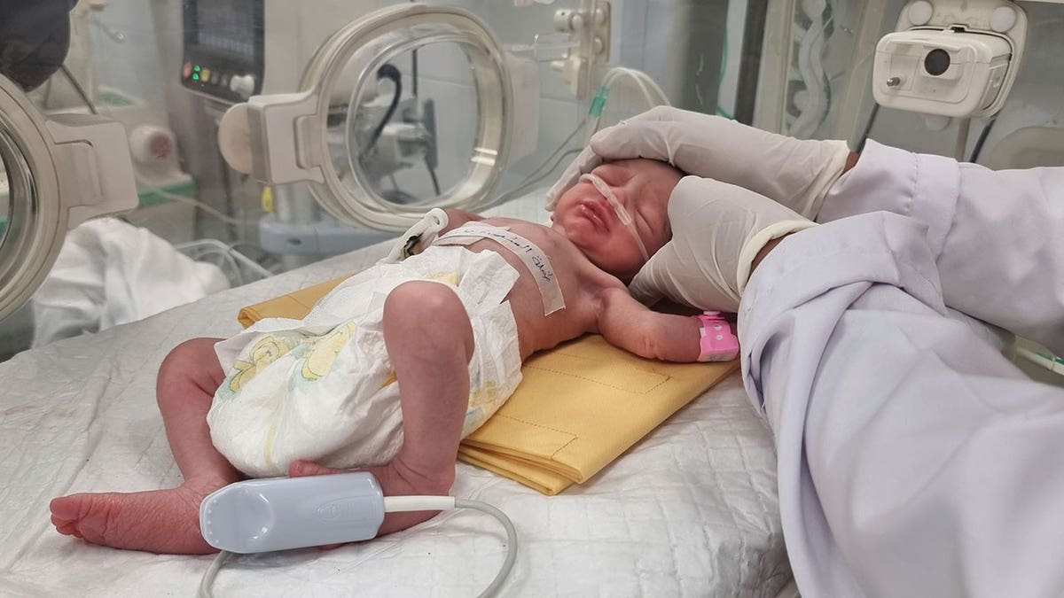 Baby successful incubator