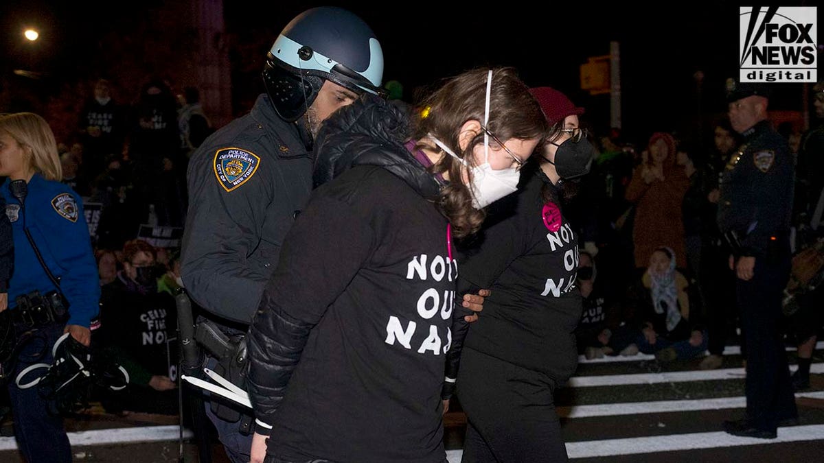 Protest extracurricular Schumer's Brooklyn location astatine night