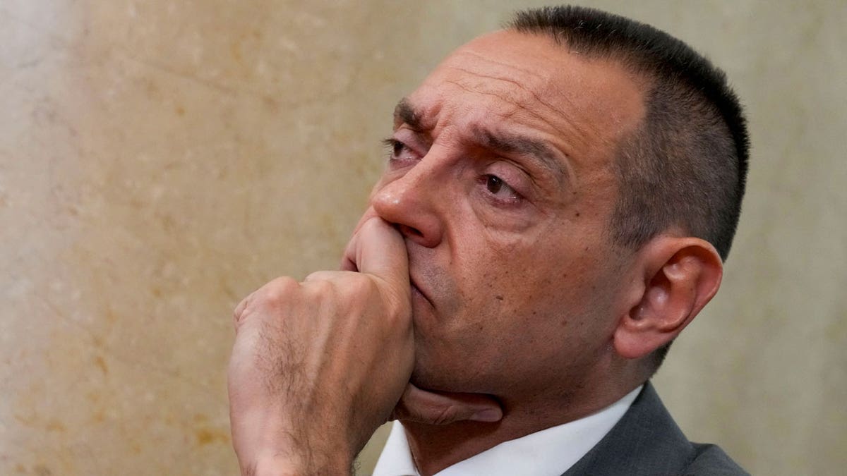 Aleksandar Vulin, former director of Serbia's intelligence agency