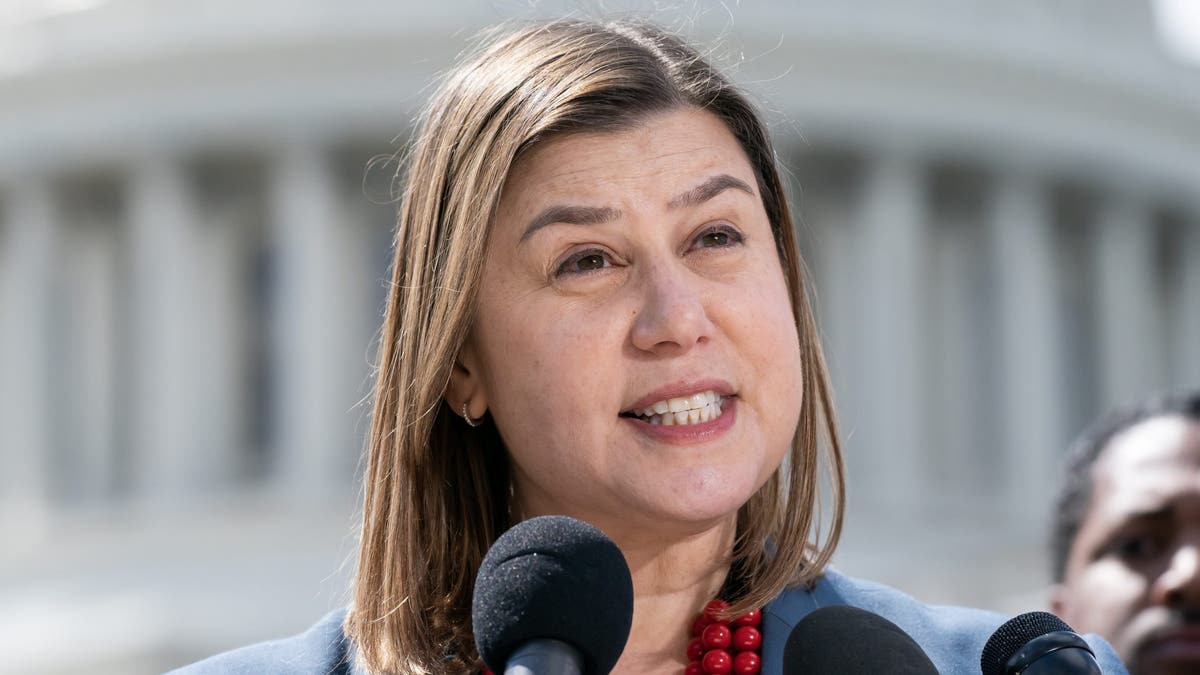 Close-up of Democratic Rep. Elissa Slotkin of Michigan