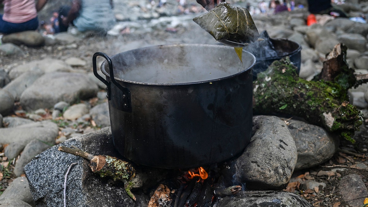 Tamales in pot