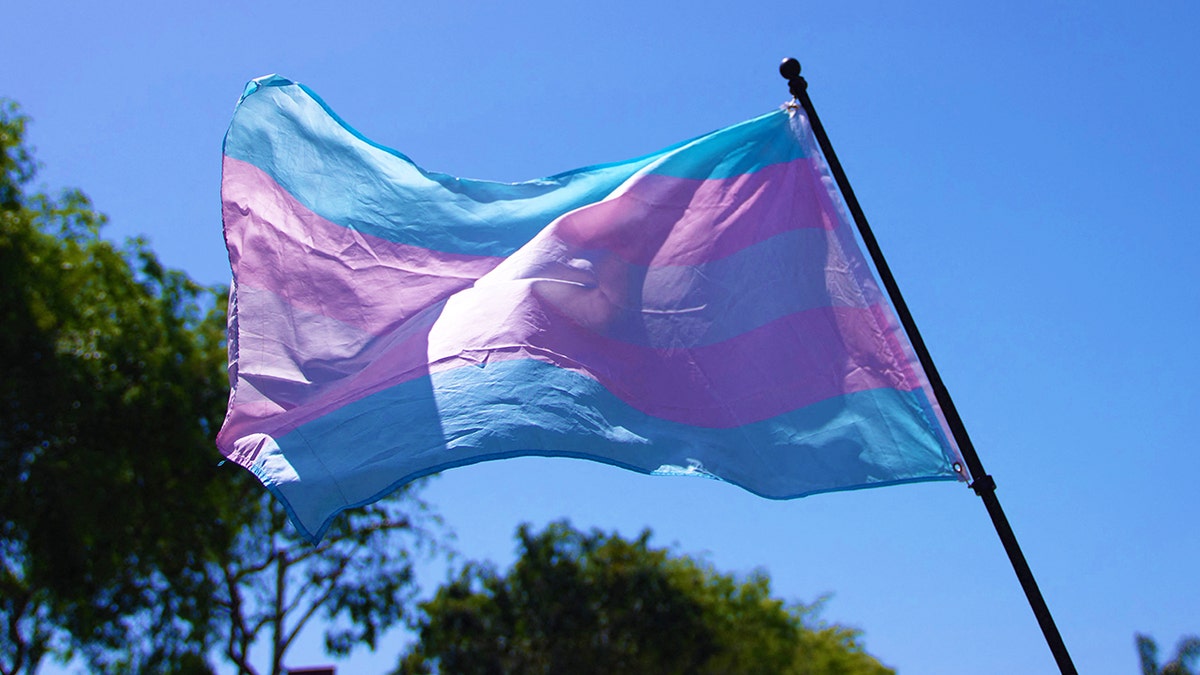Transgender pride flag waving on pole