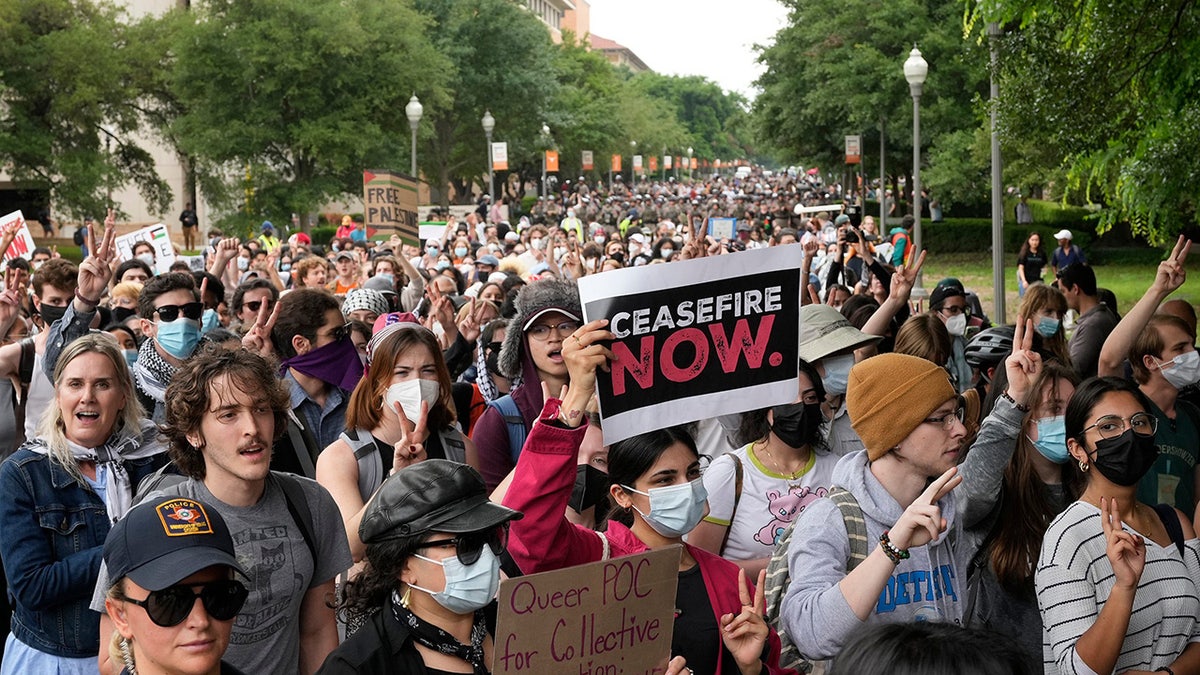 UT anti-Israel protesters 