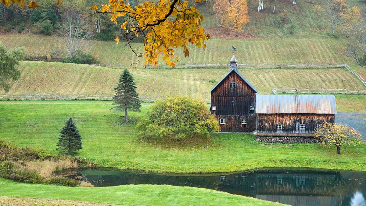 Woodstock, Vermont'taki Sonbaharda Cloudland Yolu'ndaki Pitoresk Sleepy Hollow Çiftliği