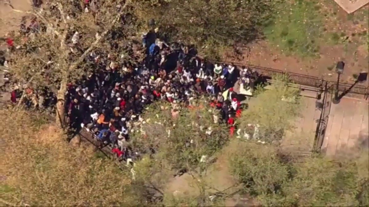 Migrants gathering in an NYC park