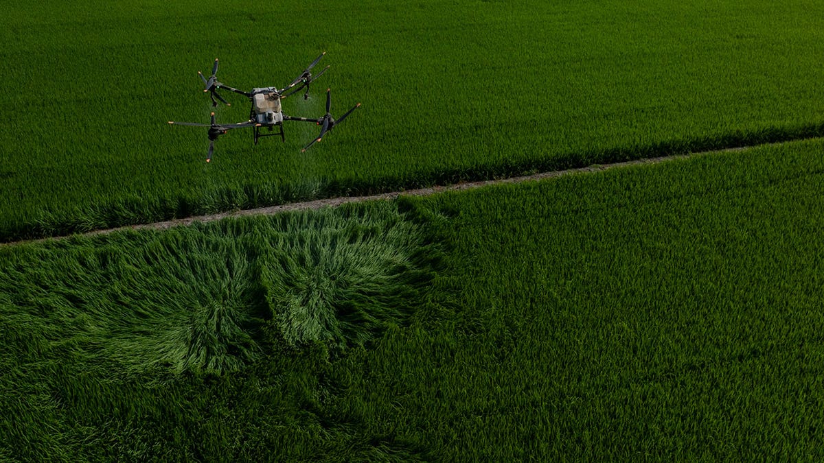 Vietnam drone