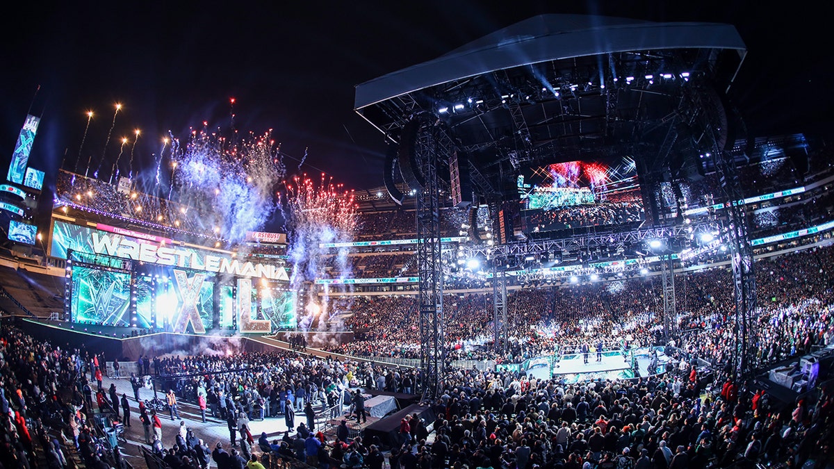 WrestleMania 40 view