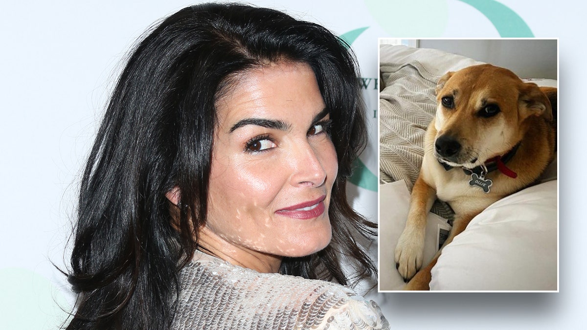 Angie Harmon and Ollie