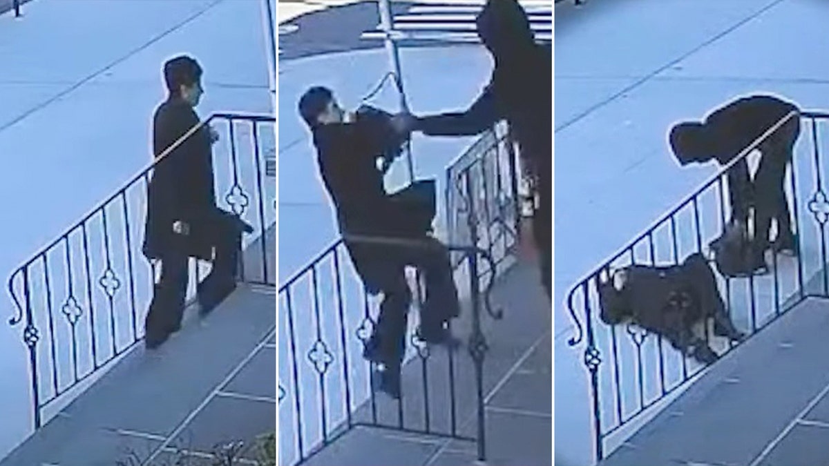 Irene Tahliambouris, a 68-year-old Queens, New York, grandmother, was seen on surveillance video being pushed down the stairs going to church and robbed.