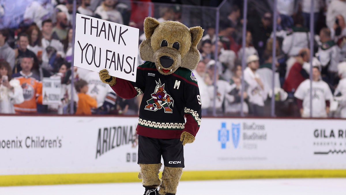 Coyotes mascot