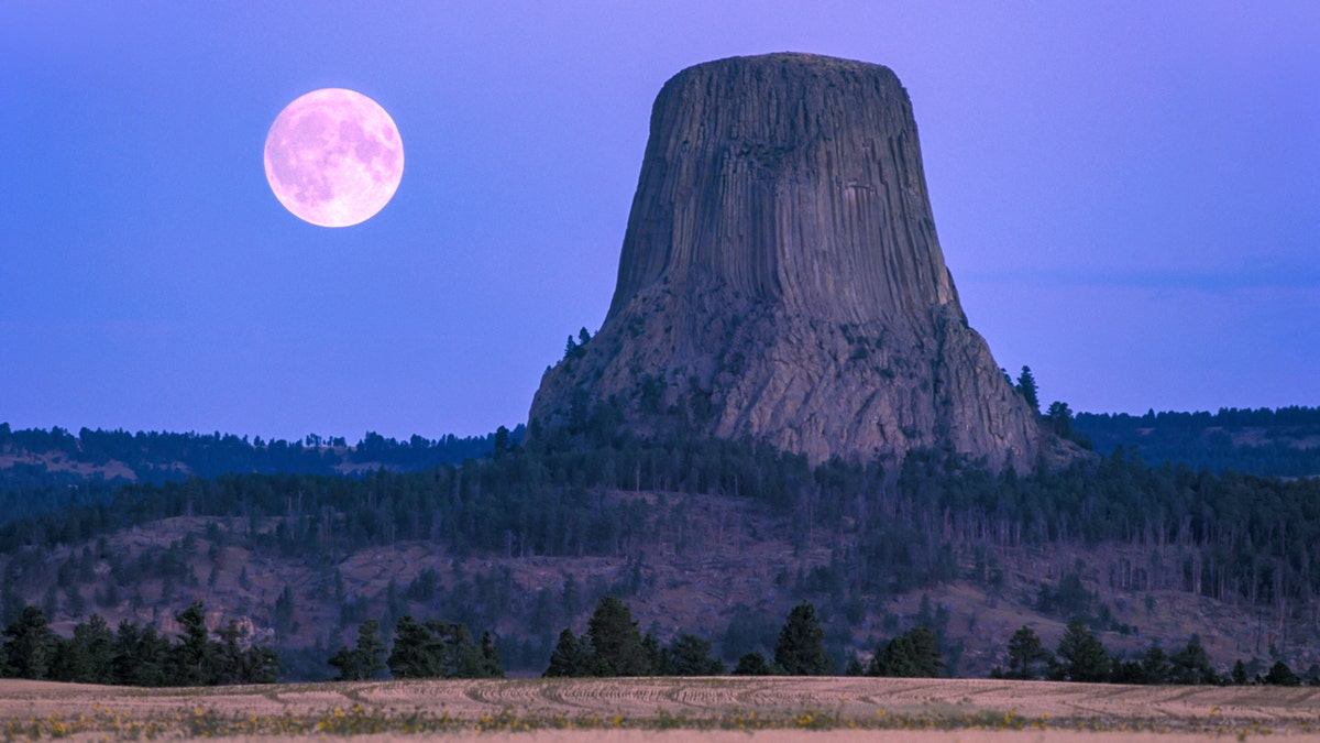 Devils Tower