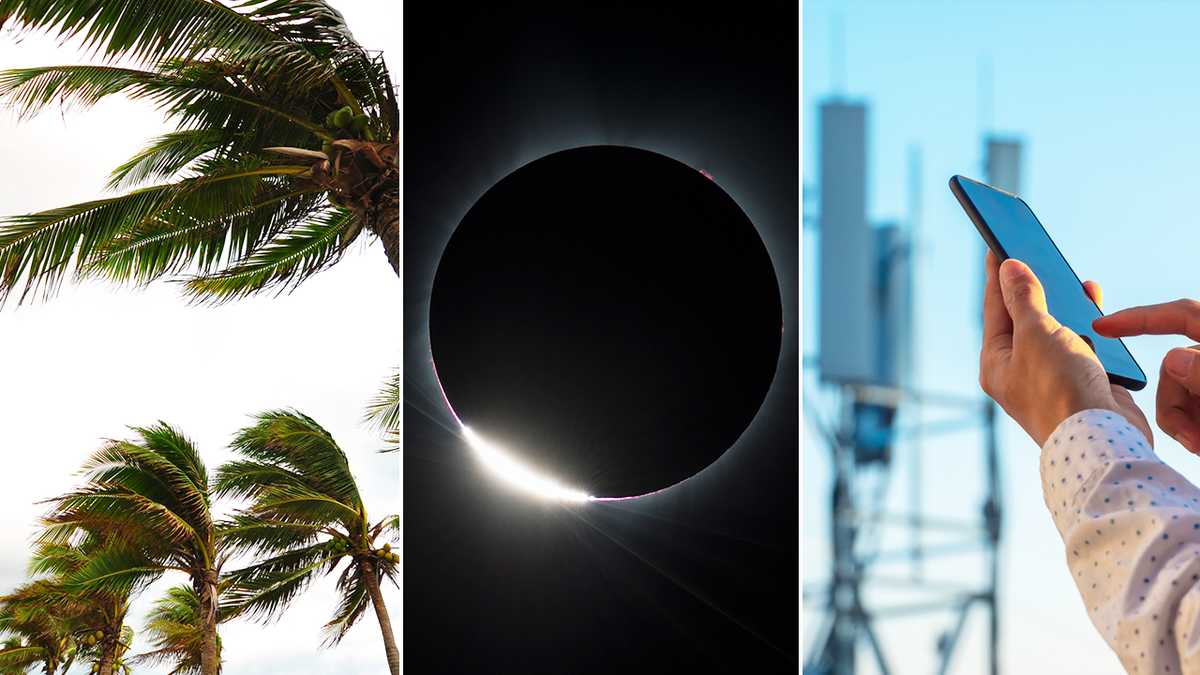 a split of windy trees, a solar eclipse and a cell phone in front of radio towers