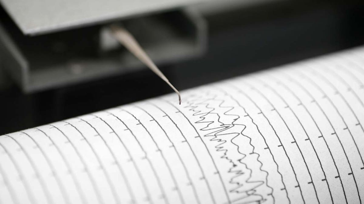 Seismometer graph