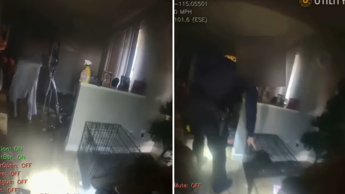 Split image of officer saving dogs
