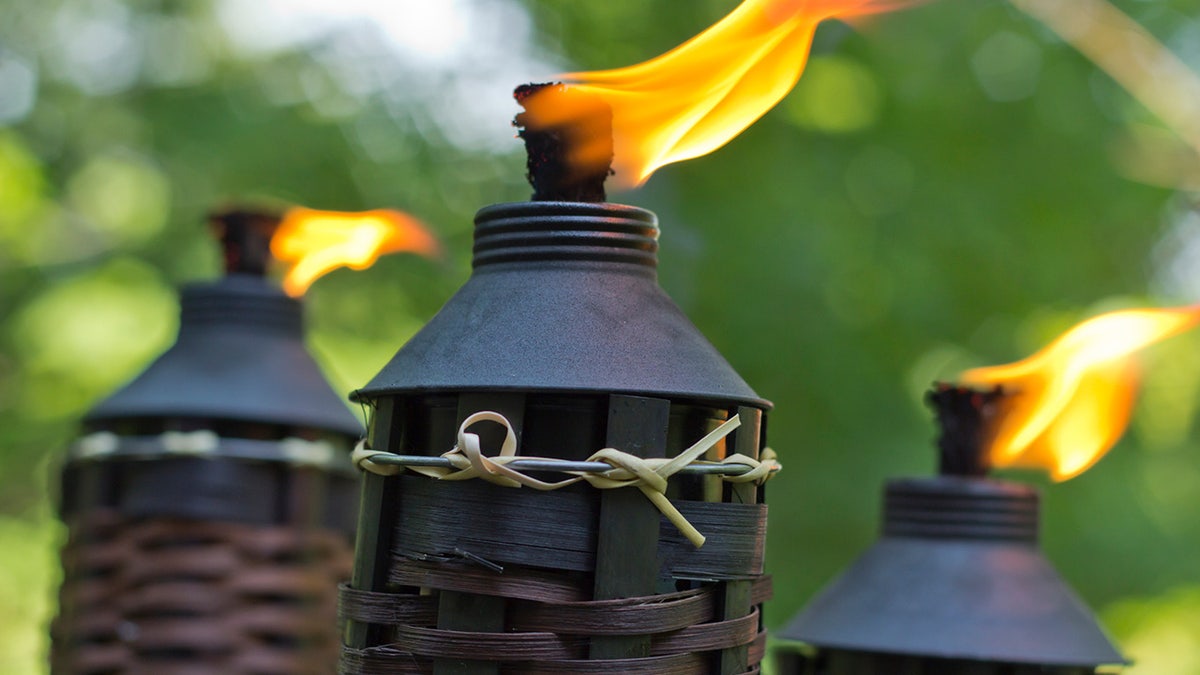 Mantente a salvo de los mosquitos y otros insectos con estas opciones repelentes de insectos. 