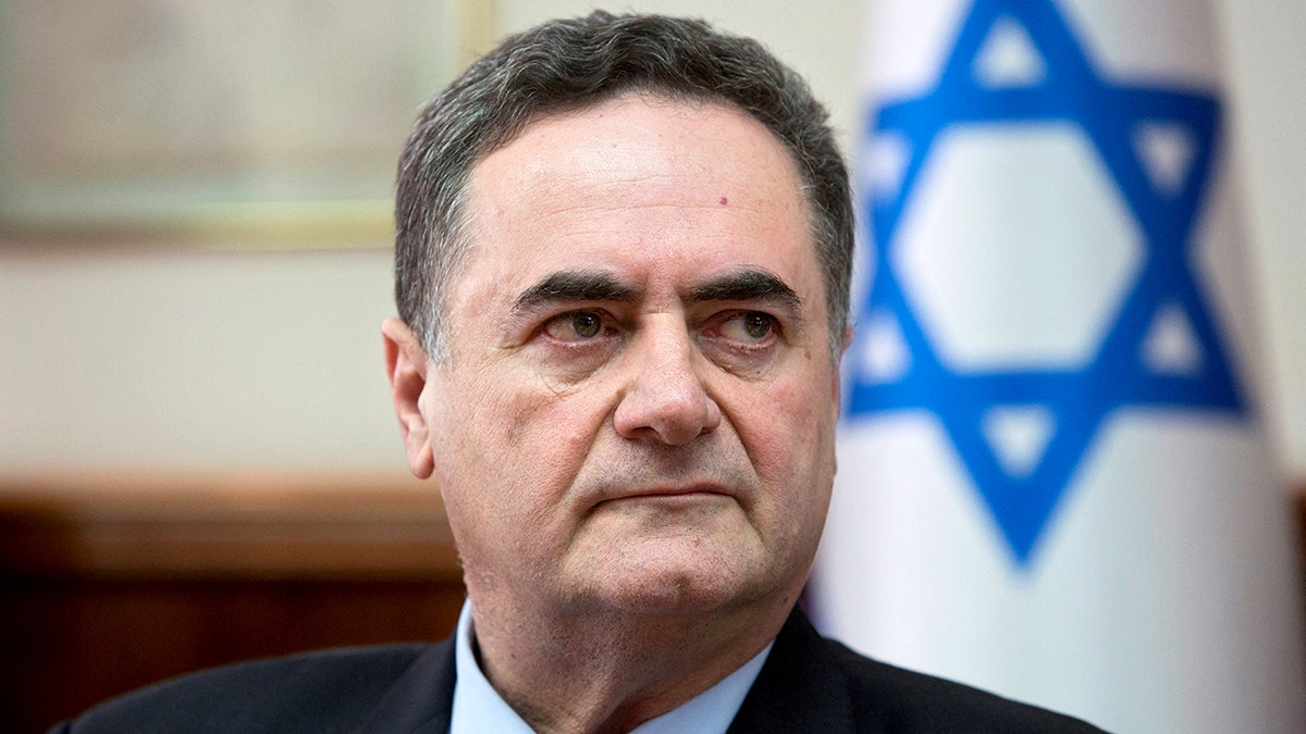 Israel Foreign Minister Israel Katz