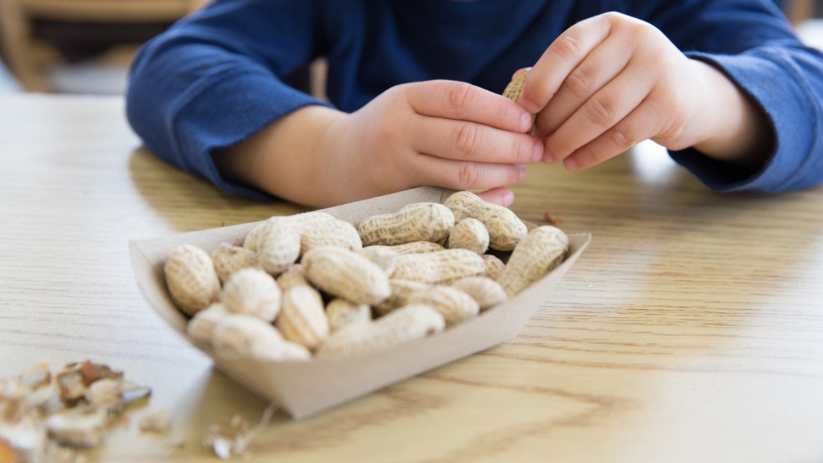 Kid eating peanuts