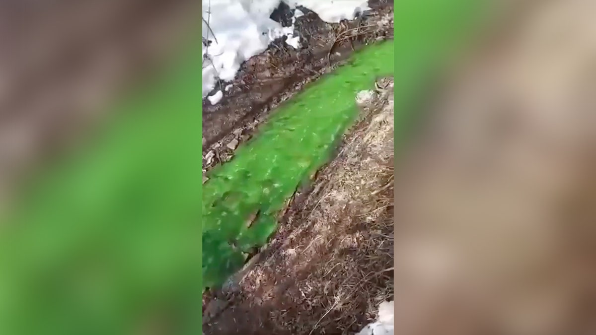A greenish stream successful Penza, Russia