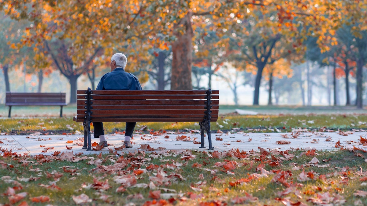 Man on park bench