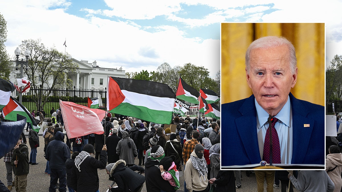 Pro-Palestinian objection extracurricular nan White House successful main image, inset image of President Biden