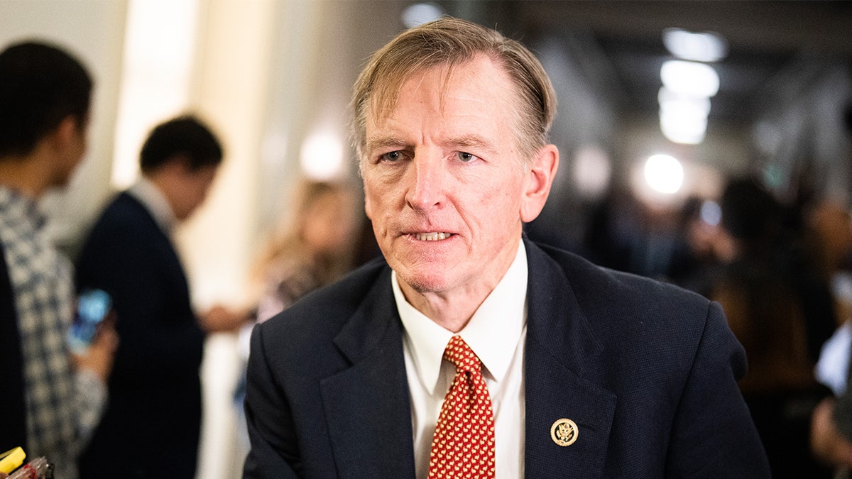 Rep. Paul Gosar, a achromatic  antheral   with blonde hair