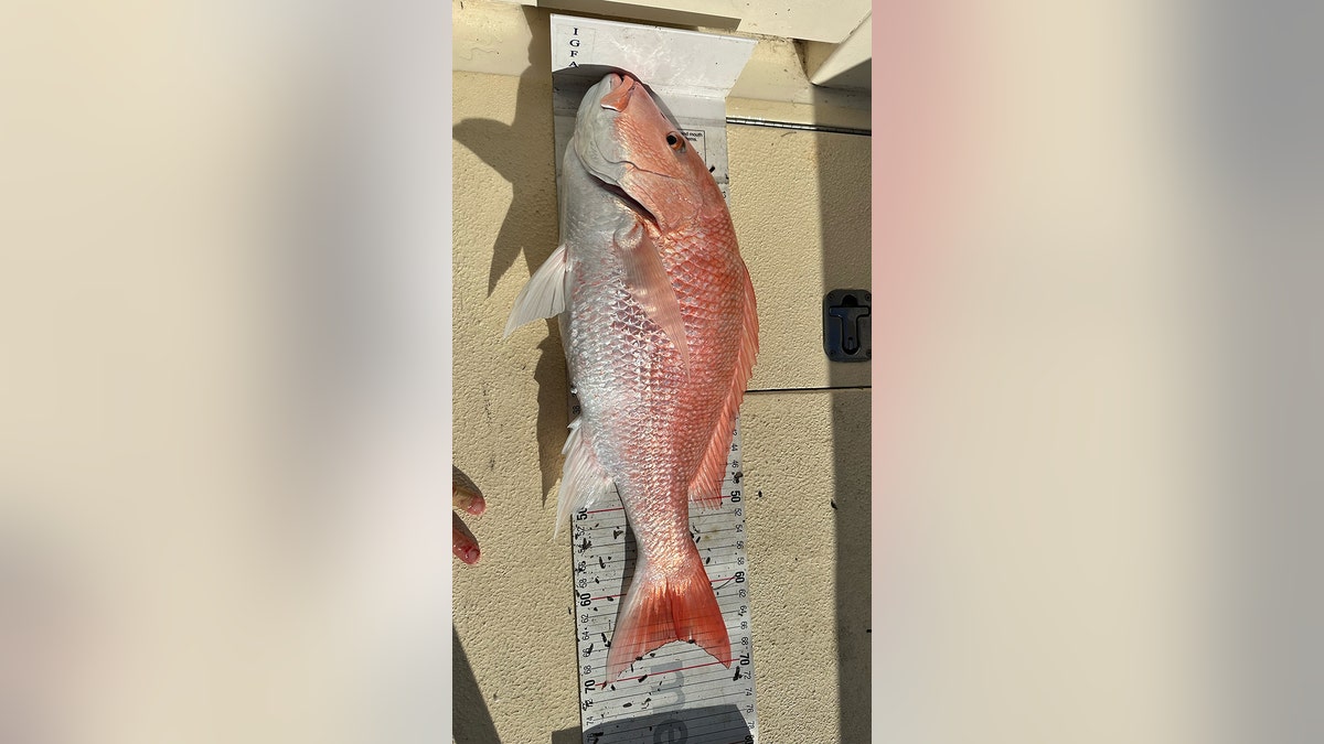 Florida girl, 12, hooks multiple fishing records in a few short