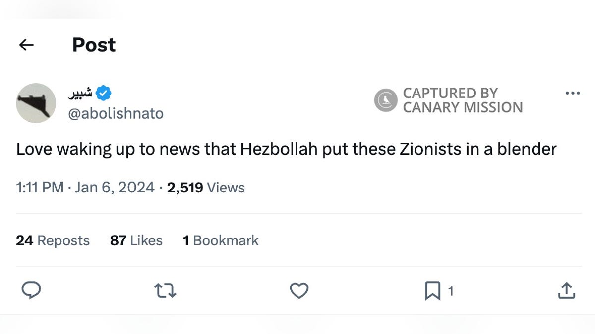 Rivzi Tweet on Hezbollah.