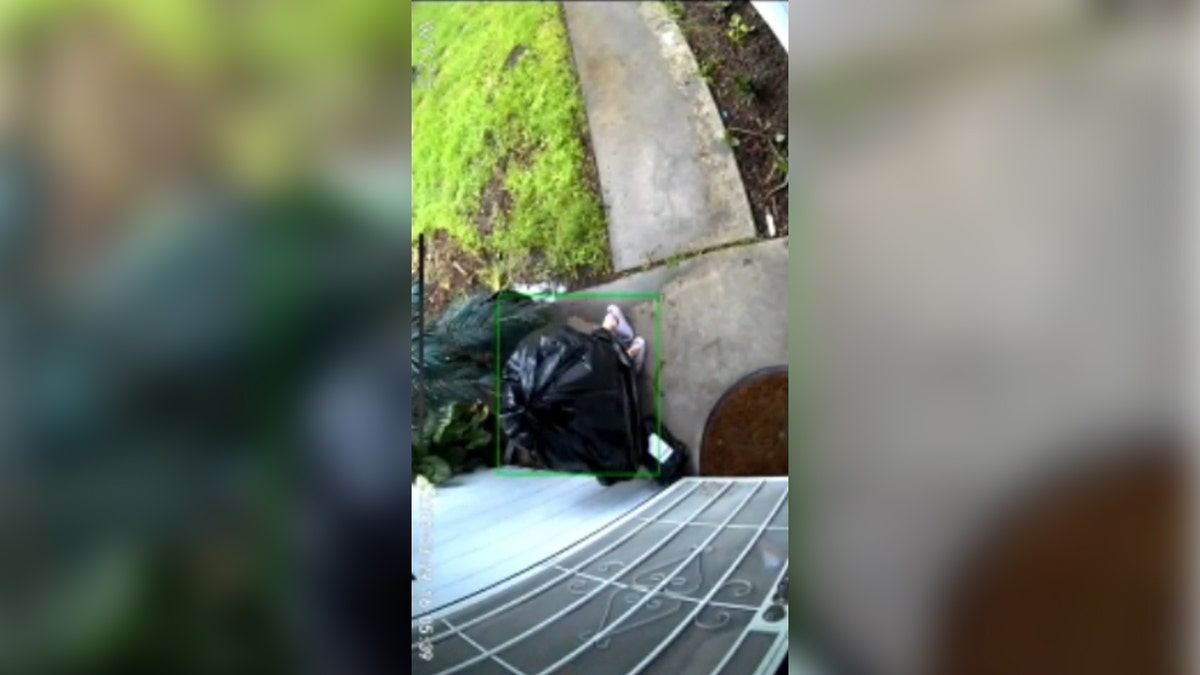 thief disguised in trash bag steals package from porch