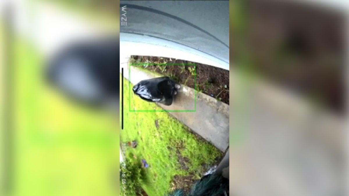 thief disguised in trash bag walks toward house