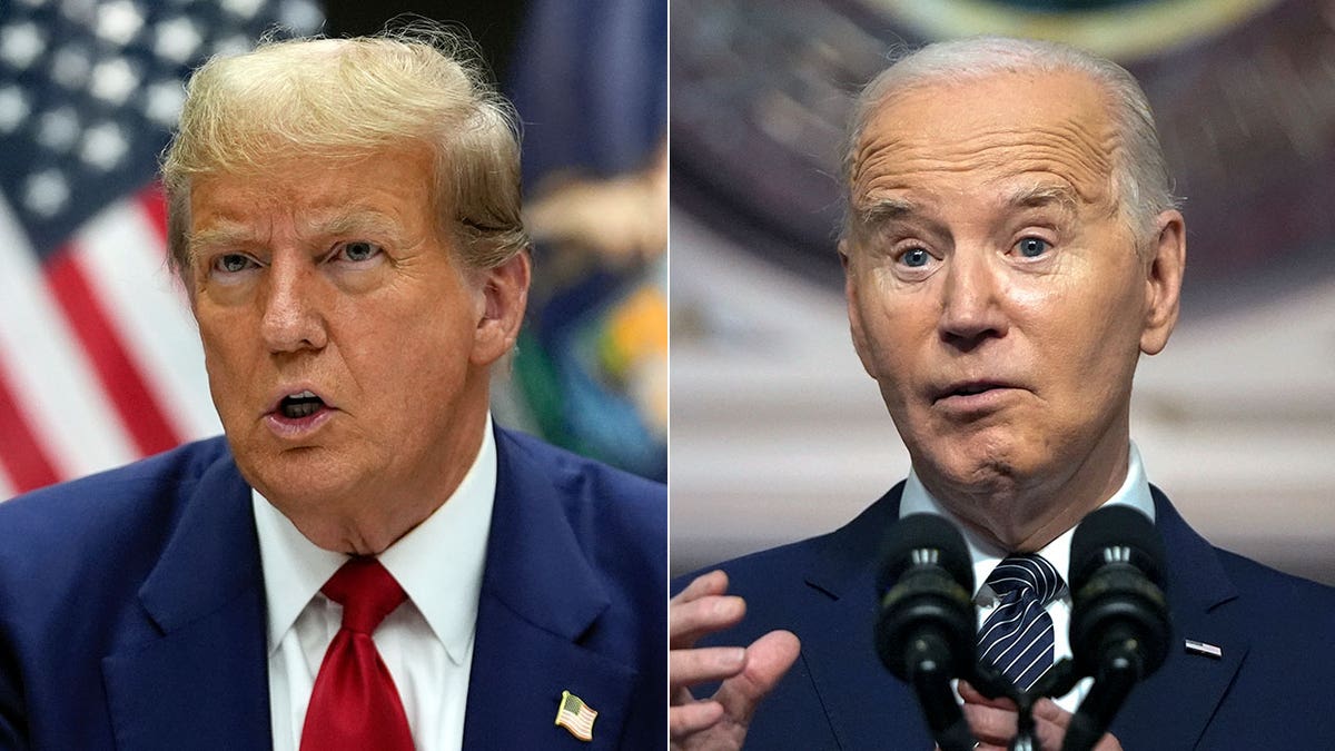 Trump and Biden caller    divided  image