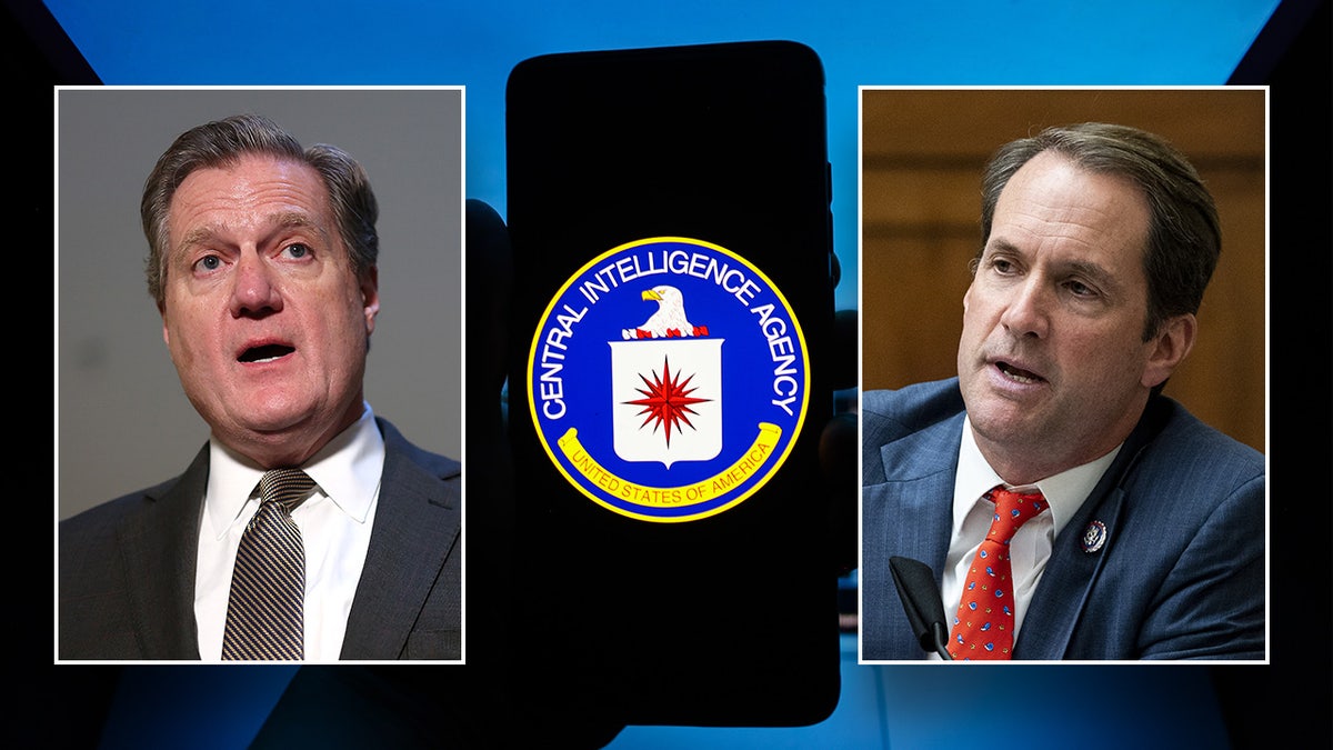 House Intelligence Committee leaders Reps. Mike Turner and Jim Himes