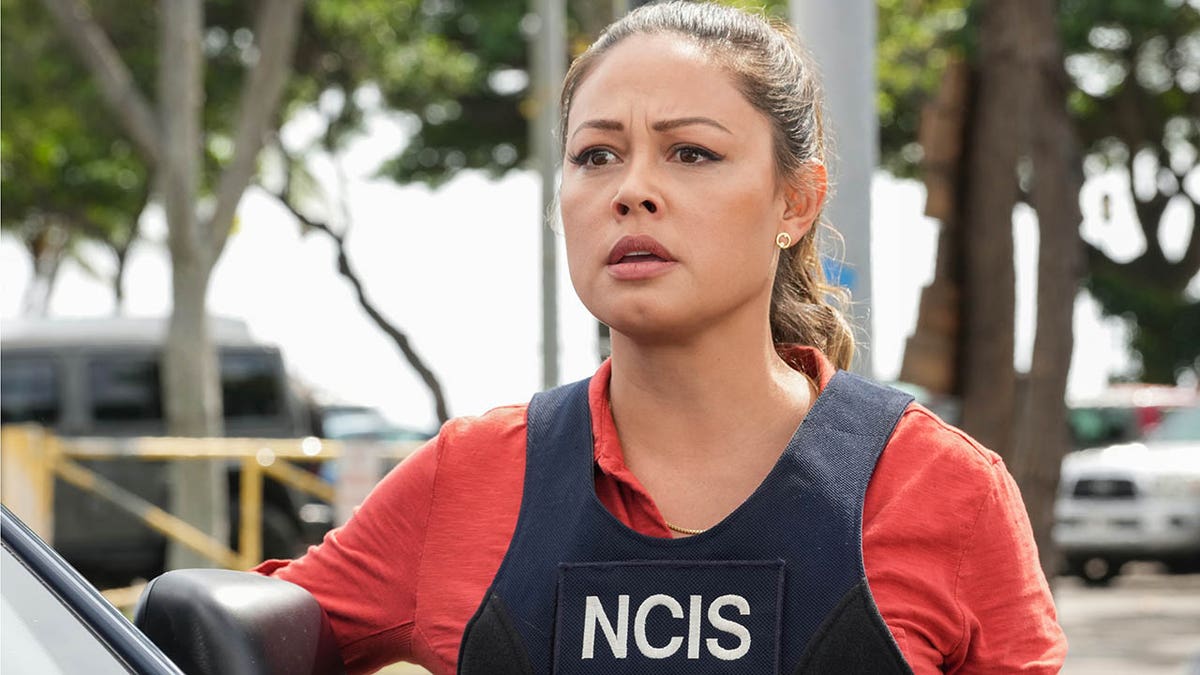 vanessa lachey in ncis: hawaii