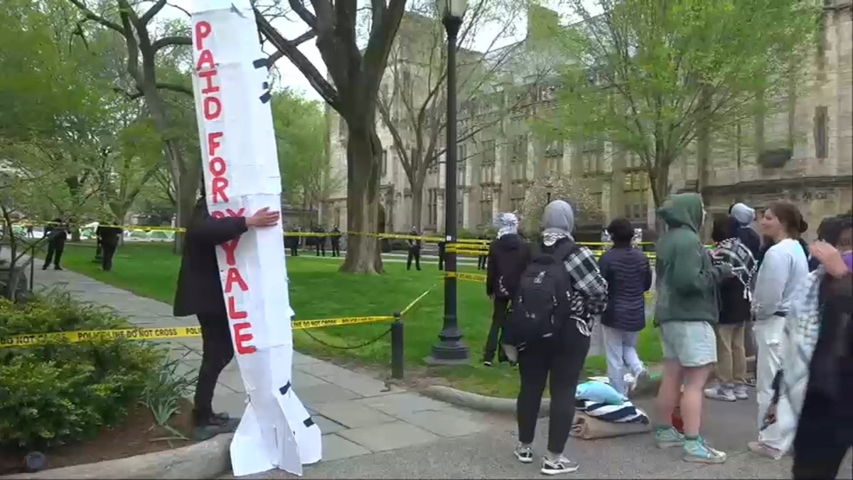 Divestment protester astatine Yale