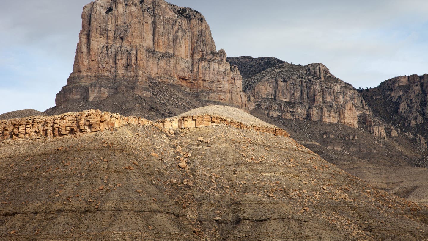 Deep in the Heart: Exploring Texas's Diverse Landscapes and Wildlife