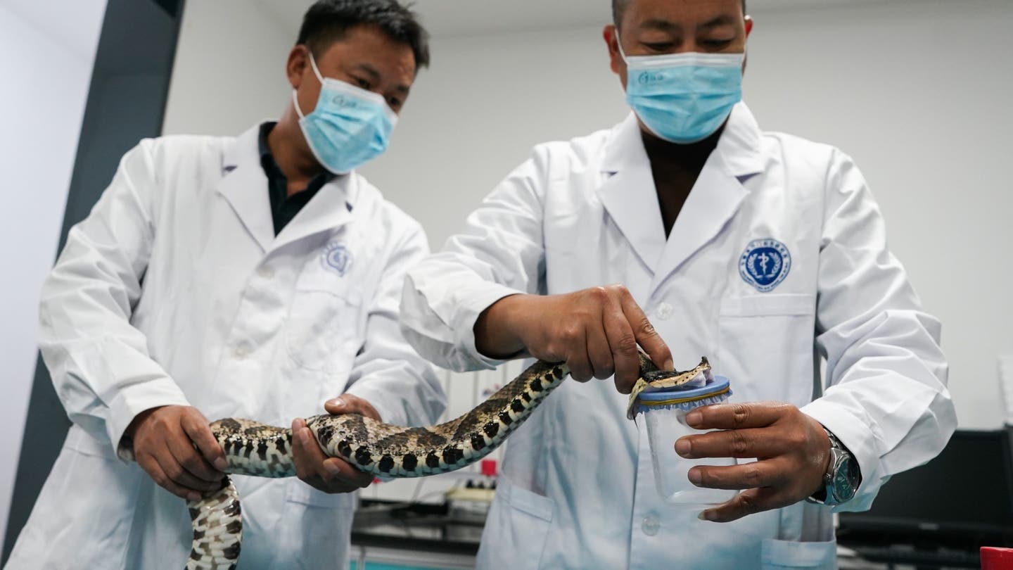 Hospital begs for snakebite victims to stop bringing in serpents when seeking help