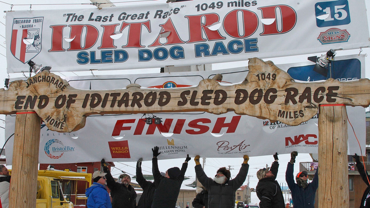 Iconic Iditarod Burled Arch Finish Line Collapses, Signaling Race's Mortality