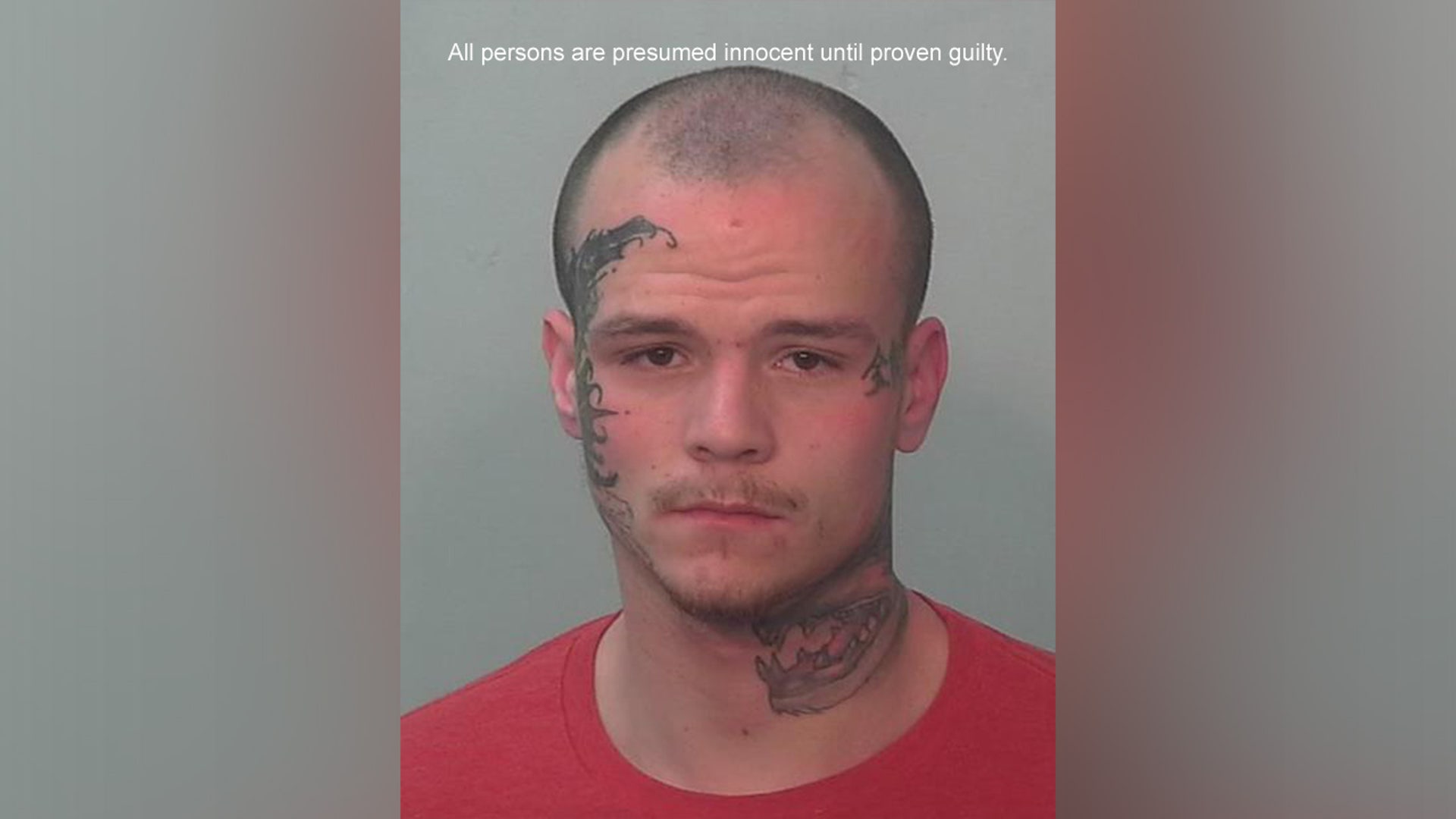 Mugshots of the week March 31April 6, 2024 Fox News