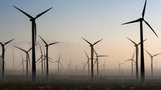 Gargantuan ‘bird cemeteries’ in Burgum’s crosshairs as DOI looks to curb green wind projects