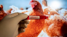 First case of human bird flu diagnosed without exposure to infected animals, CDC says