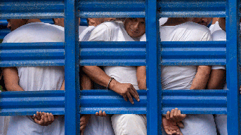 At least 241 people have died in El Salvador's prisons during the 'war on gangs,' rights group says