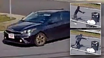 Garbage collector killed as suspects sought in brazen broad daylight shooting