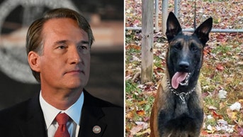 Governor vows accountability after MS-13 gang members stabbed K-9 dog to death