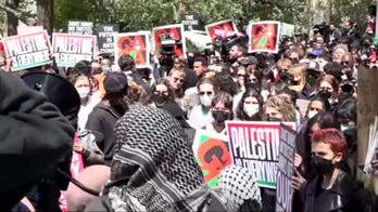 NYU students stage walkout following violent anti-Israel protests