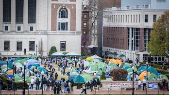 Iran picks sides as anti-Israel protests rage across US universities: 'Deeply worried and disgusted'