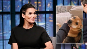 Angie Harmon accuses Instacart delivery driver of shooting and killing her dog