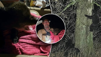 Minnesota deputy and good Samaritan rescue bear cub from highway