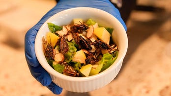 Crawfish, gumbo and cicadas? New Orleans serves up array of insect-based treats