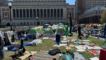 House Democrats, Republicans condemn anti-Israel Columbia University protests: an 'attack on democracy'