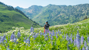 Summer Oasis: Ski Resorts Transformed into Adventure Havens